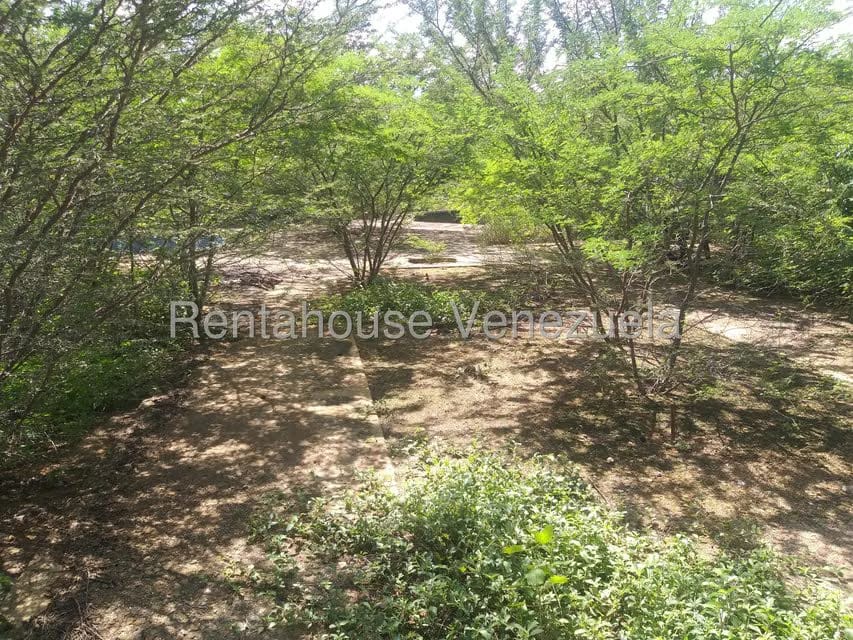 Terreno (Finca) en Venta en Los Taques, Falcon - 21