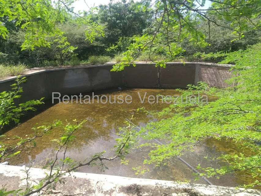 Terreno (Finca) en Venta en Los Taques, Falcon - 24