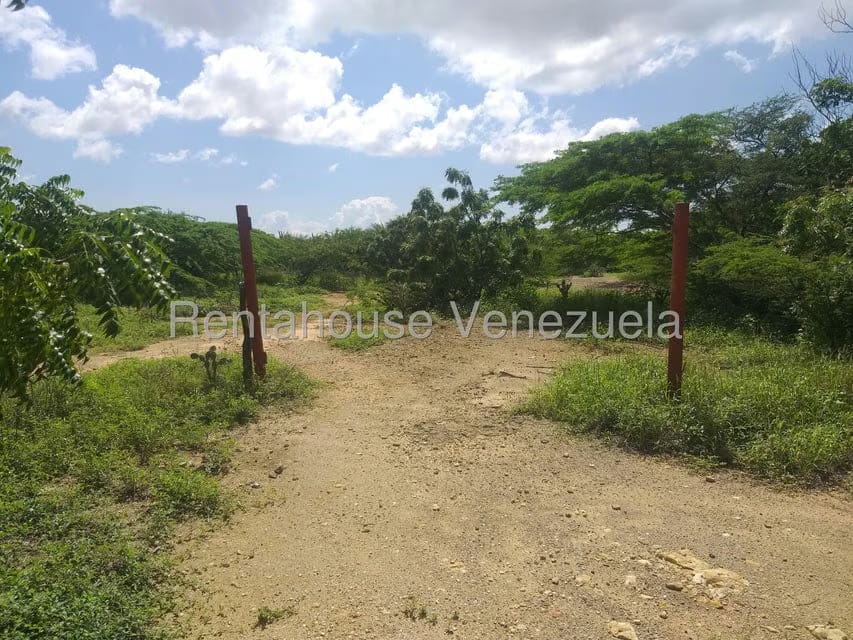 Terreno (Finca) en Venta en Los Taques, Falcon - 4