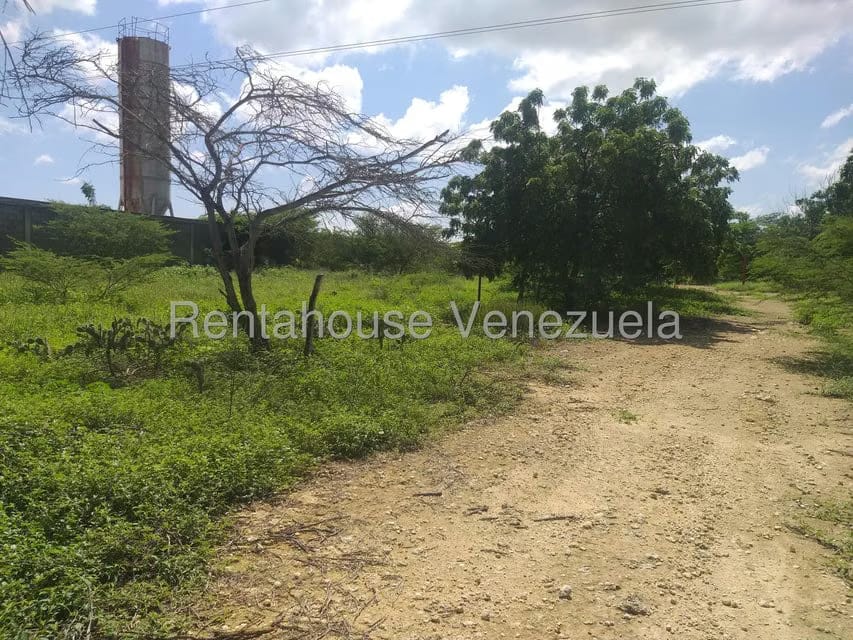 Terreno (Finca) en Venta en Los Taques, Falcon - 6