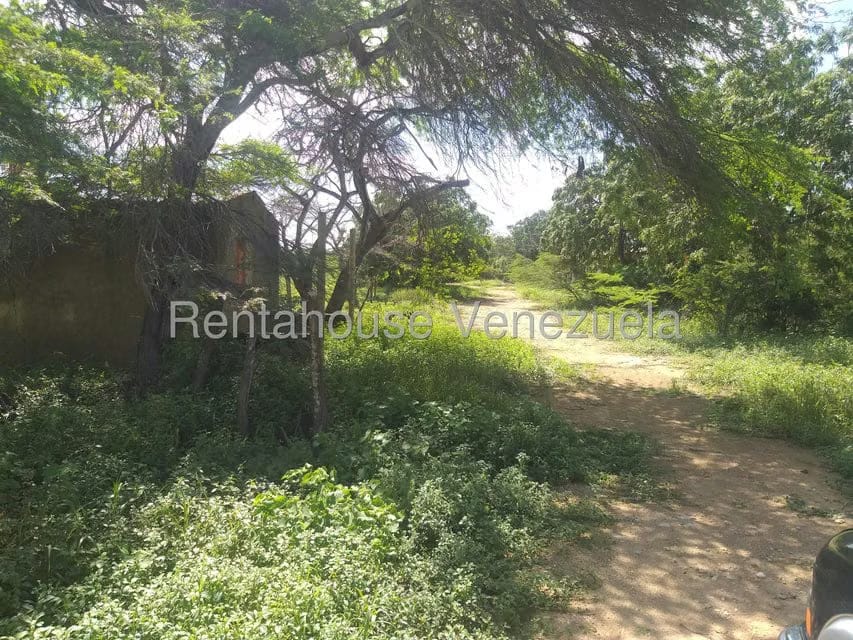 Terreno (Finca) en Venta en Los Taques, Falcon - 7
