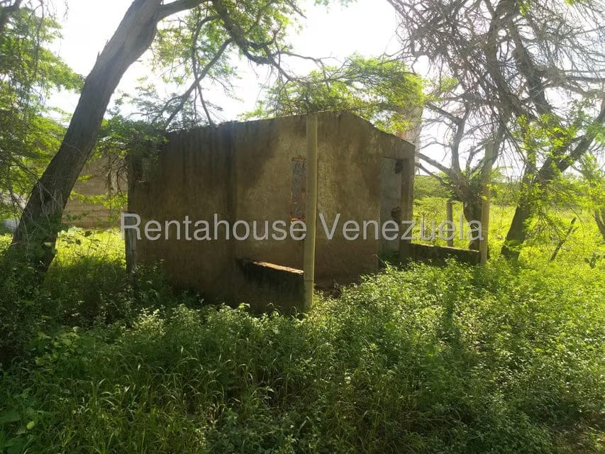 Terreno (Finca) en Venta en Los Taques, Falcon - 8