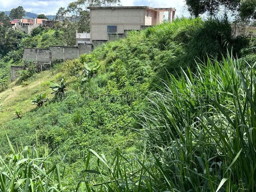Terreno (Residencial) en Venta en La Morita, Miranda - 5
