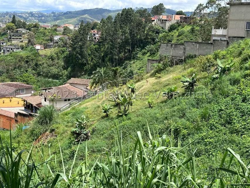 Terreno (Residencial) en Venta en La Morita, Miranda - 8