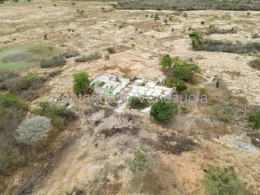 Terreno (Comercial) en Venta en Parroquia Tamaca, Lara - 14