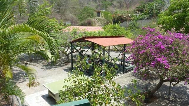 Comercial (Edificio) en Venta en Mampote, Miranda - 26