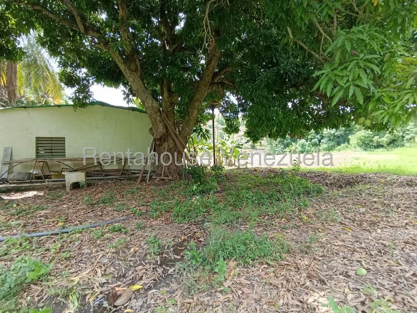 Terreno (Finca) en Venta en Sector Sierra del Norte, Aragua - 2