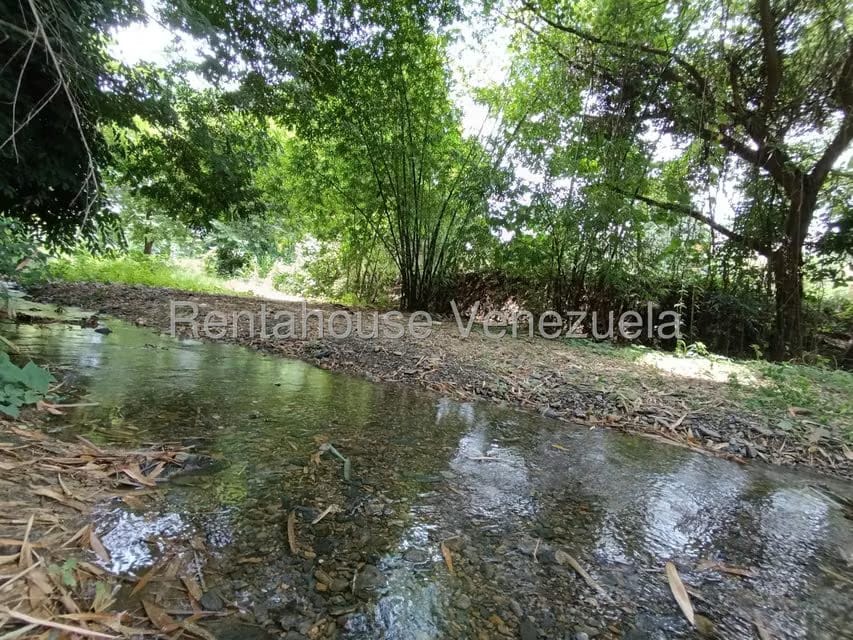 Terreno (Finca) en Venta en Sector Sierra del Norte, Aragua - 11