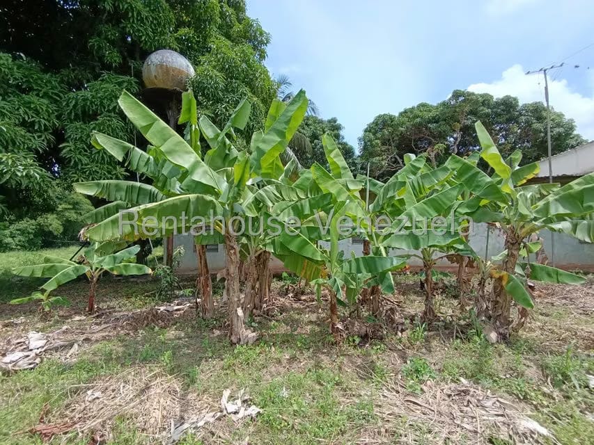Terreno (Finca) en Venta en Sector Sierra del Norte, Aragua - 13