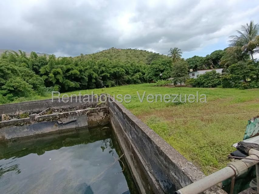 Terreno (Finca) en Venta en Sector Sierra del Norte, Aragua - 15
