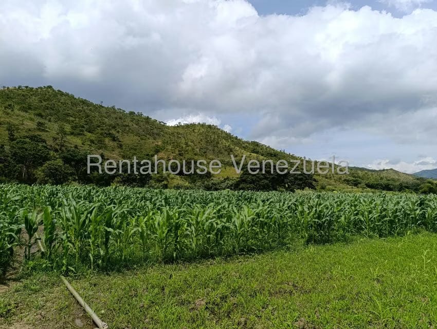 Terreno (Finca) en Venta en Sector Sierra del Norte, Aragua - 16