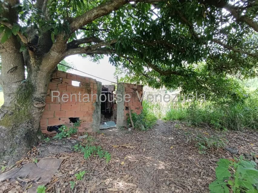 Terreno (Finca) en Venta en Sector Sierra del Norte, Aragua - 18