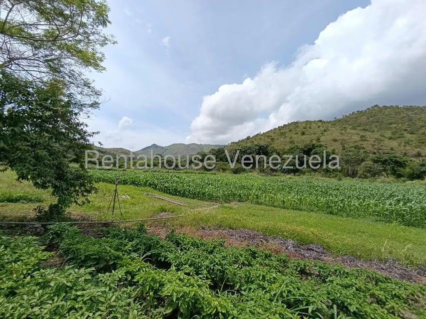 Terreno (Finca) en Venta en Sector Sierra del Norte, Aragua - 21