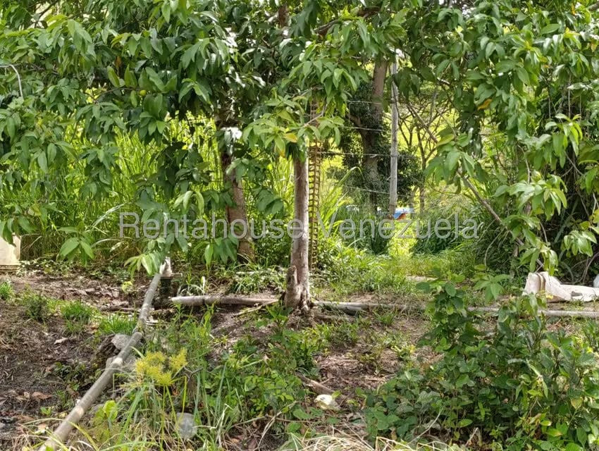 Terreno (Finca) en Venta en Sector Sierra del Norte, Aragua - 24