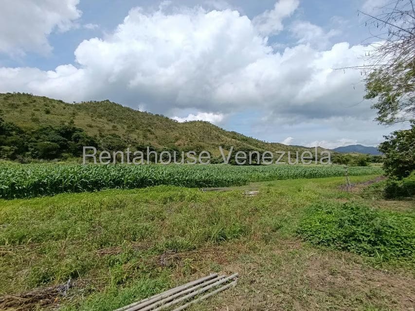 Terreno (Finca) en Venta en Sector Sierra del Norte, Aragua - 26