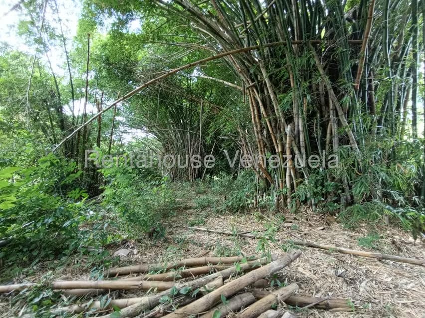 Terreno (Finca) en Venta en Sector Sierra del Norte, Aragua - 27