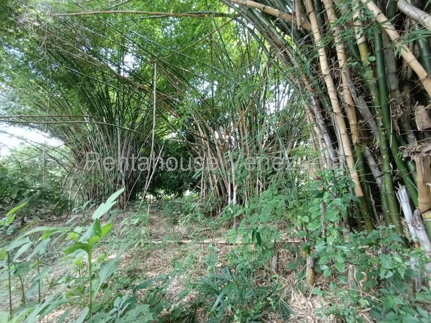 Terreno (Finca) en Venta en Sector Sierra del Norte, Aragua - 29
