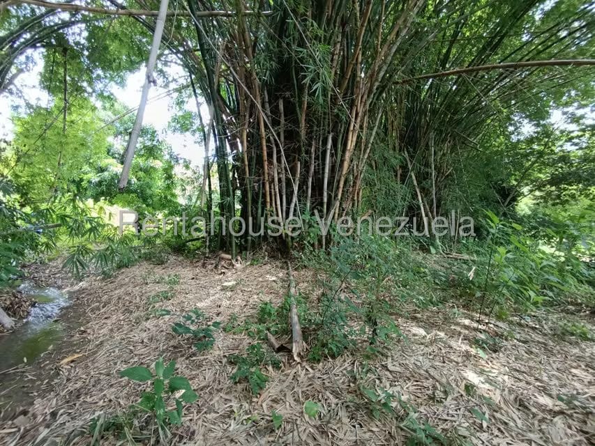 Terreno (Finca) en Venta en Sector Sierra del Norte, Aragua - 30
