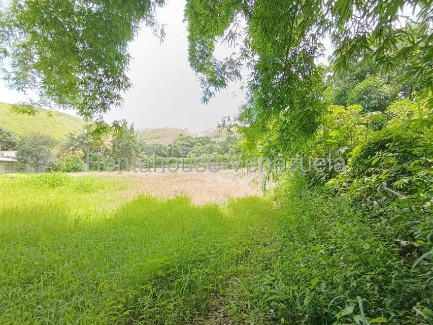 Terreno (Finca) en Venta en Sector Sierra del Norte, Aragua - 32