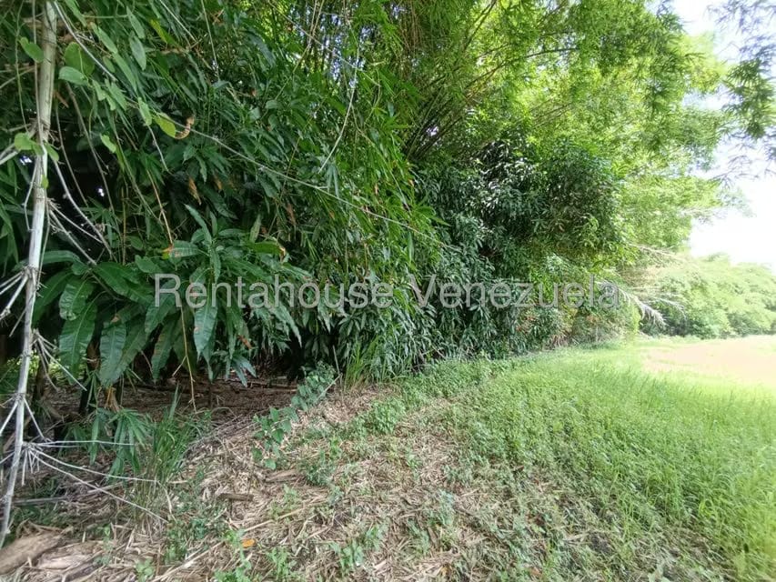 Terreno (Finca) en Venta en Sector Sierra del Norte, Aragua - 34