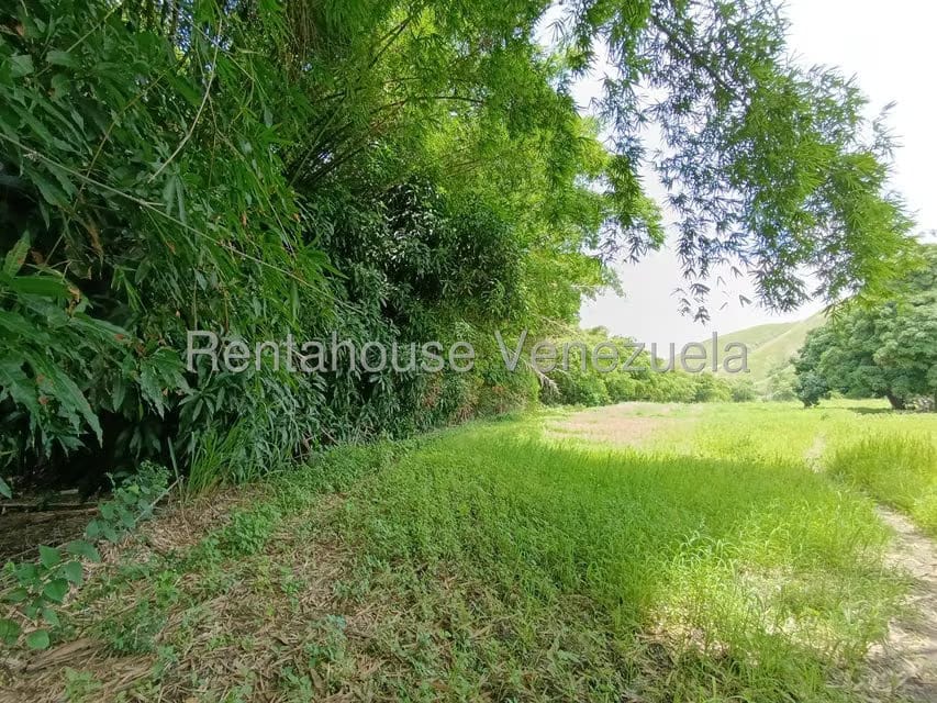 Terreno (Finca) en Venta en Sector Sierra del Norte, Aragua - 36