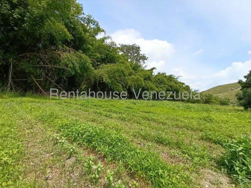 Terreno (Finca) en Venta en Sector Sierra del Norte, Aragua - 37