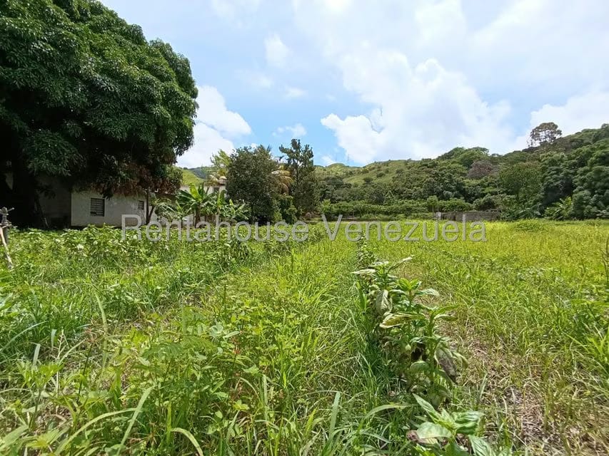 Terreno (Finca) en Venta en Sector Sierra del Norte, Aragua - 38