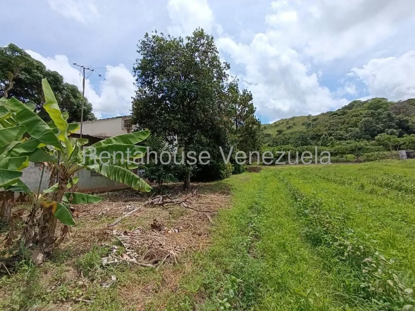 Terreno (Finca) en Venta en Sector Sierra del Norte, Aragua - 39