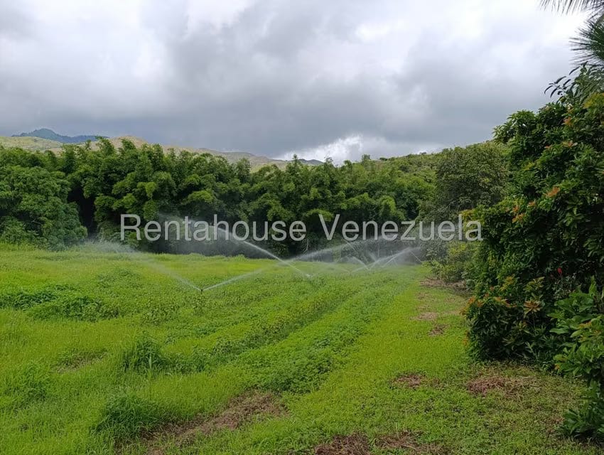 Terreno (Finca) en Venta en Sector Sierra del Norte, Aragua - 41