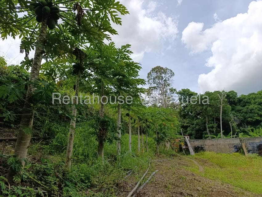 Terreno (Finca) en Venta en Sector Sierra del Norte, Aragua - 42