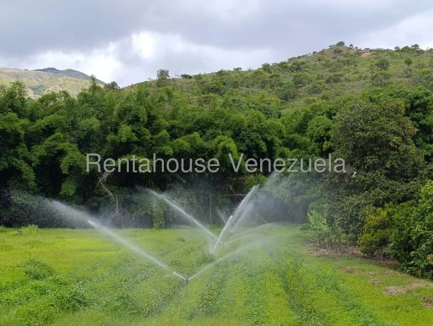 Terreno (Finca) en Venta en Sector Sierra del Norte, Aragua - 44