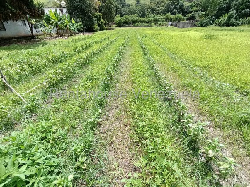 Terreno (Finca) en Venta en Sector Sierra del Norte, Aragua - 6