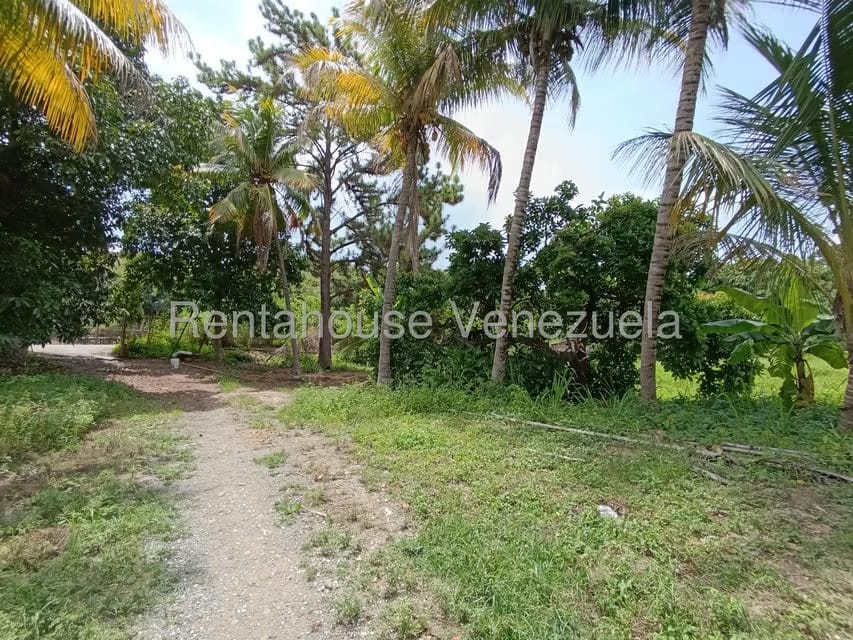 Terreno (Finca) en Venta en Sector Sierra del Norte, Aragua - 51