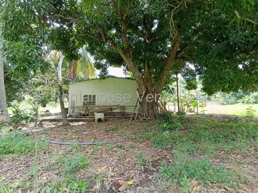 Terreno (Finca) en Venta en Sector Sierra del Norte, Aragua - 54