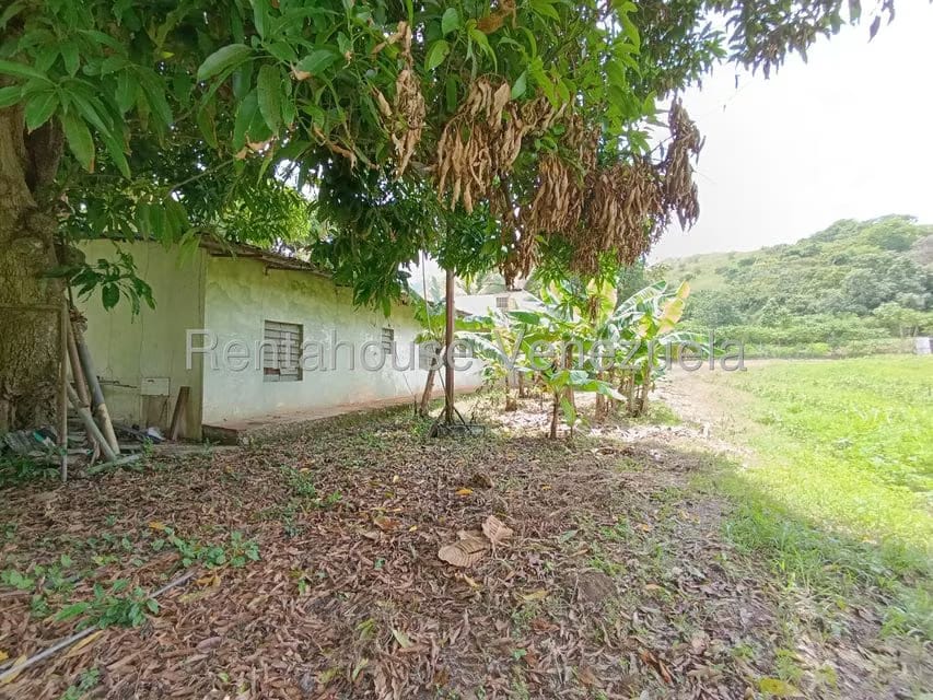 Terreno (Finca) en Venta en Sector Sierra del Norte, Aragua - 55