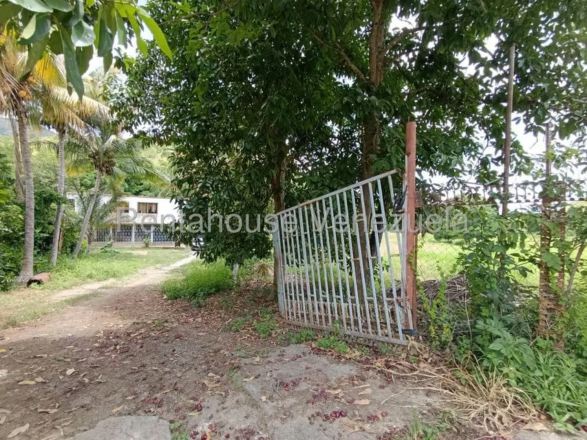 Terreno (Finca) en Venta en Sector Sierra del Norte, Aragua - 58
