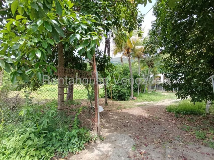 Terreno (Finca) en Venta en Sector Sierra del Norte, Aragua - 59