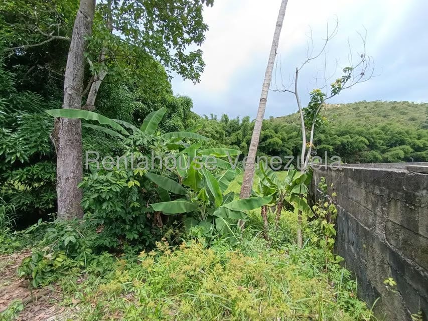 Terreno (Finca) en Venta en Sector Sierra del Norte, Aragua - 68