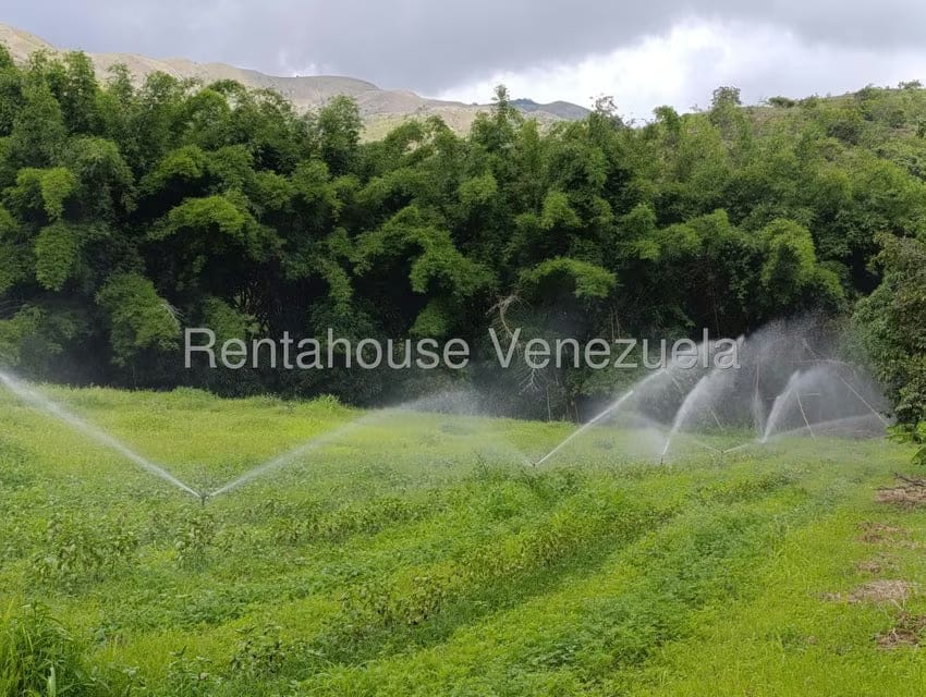 Terreno (Finca) en Venta en Sector Sierra del Norte, Aragua - 71