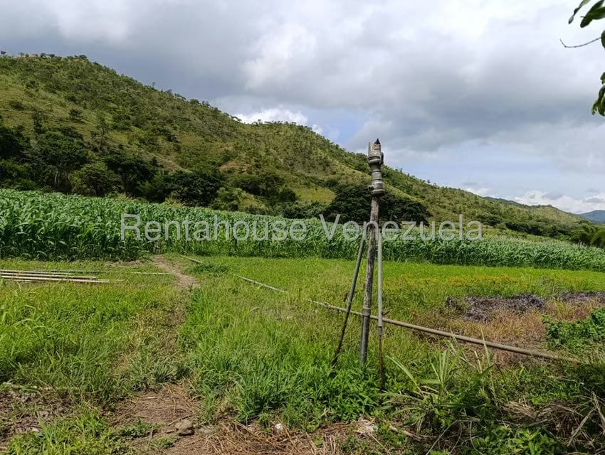 Terreno (Finca) en Venta en Sector Sierra del Norte, Aragua - 74