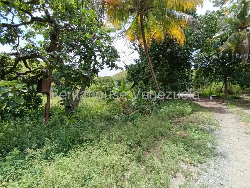 Terreno (Finca) en Venta en Sector Sierra del Norte, Aragua - 10