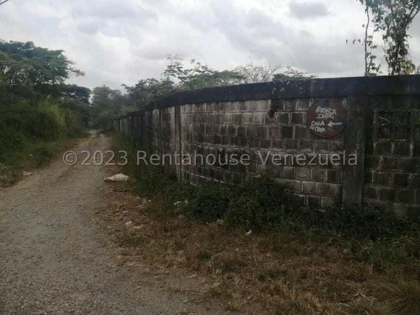 Terreno (Finca) en Venta en Merecure, Miranda - 2