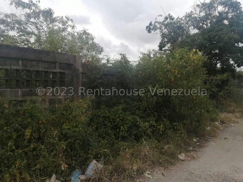 Terreno (Finca) en Venta en Merecure, Miranda - 3