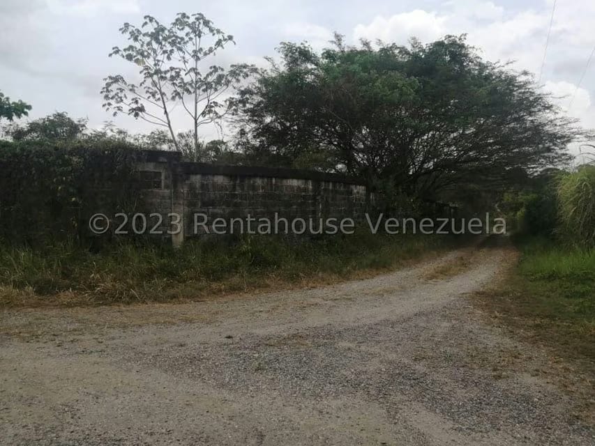 Terreno (Finca) en Venta en Merecure, Miranda - 4