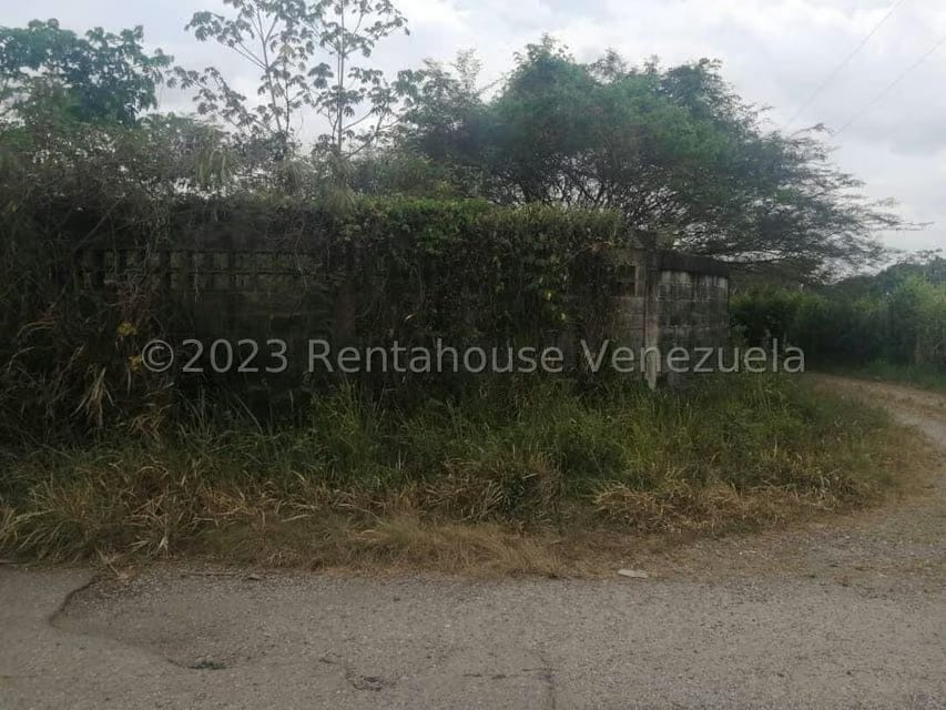 Terreno (Finca) en Venta en Merecure, Miranda - 5