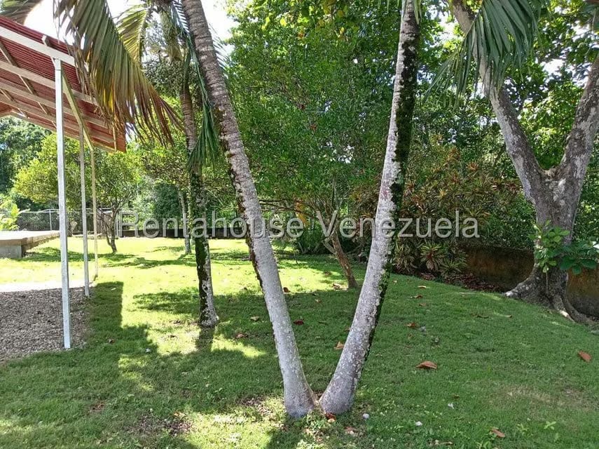 Apartamento (1 Nivel) en Venta en Flor de Mayo, Miranda - 33