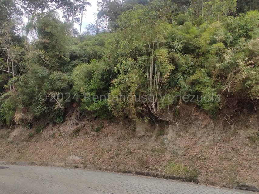 Terreno (Residencial) en Venta en La Colonia Tovar, Aragua - 11