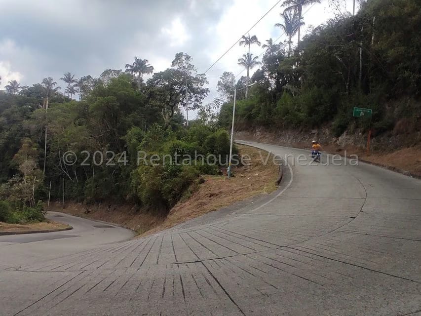 Terreno (Residencial) en Venta en La Colonia Tovar, Aragua - 13