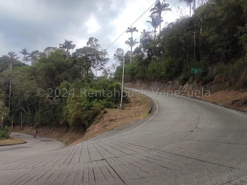 Terreno (Residencial) en Venta en La Colonia Tovar, Aragua - 14