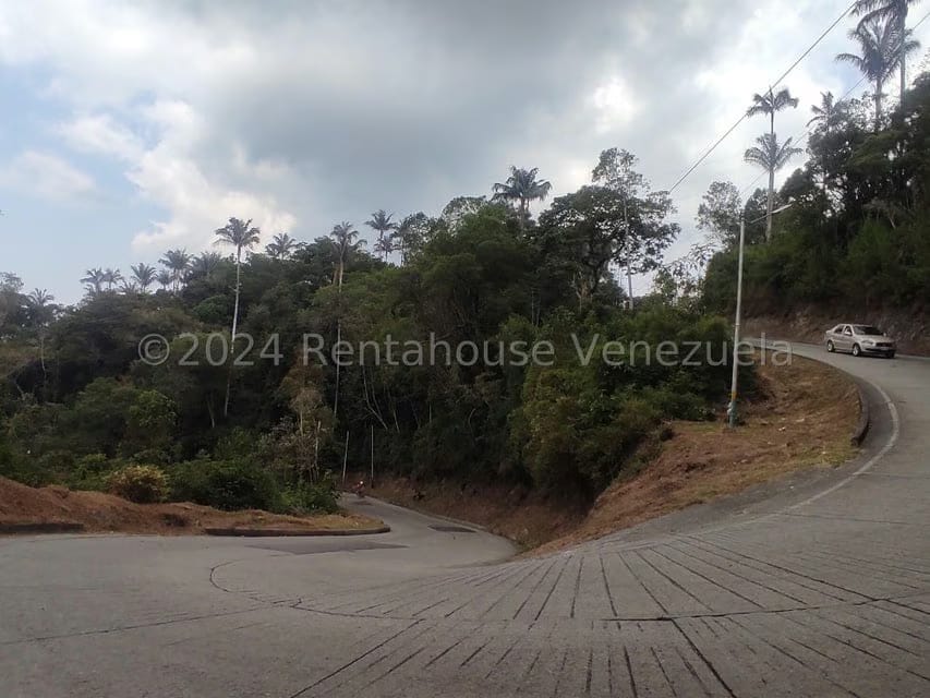 Terreno (Residencial) en Venta en La Colonia Tovar, Aragua - 15